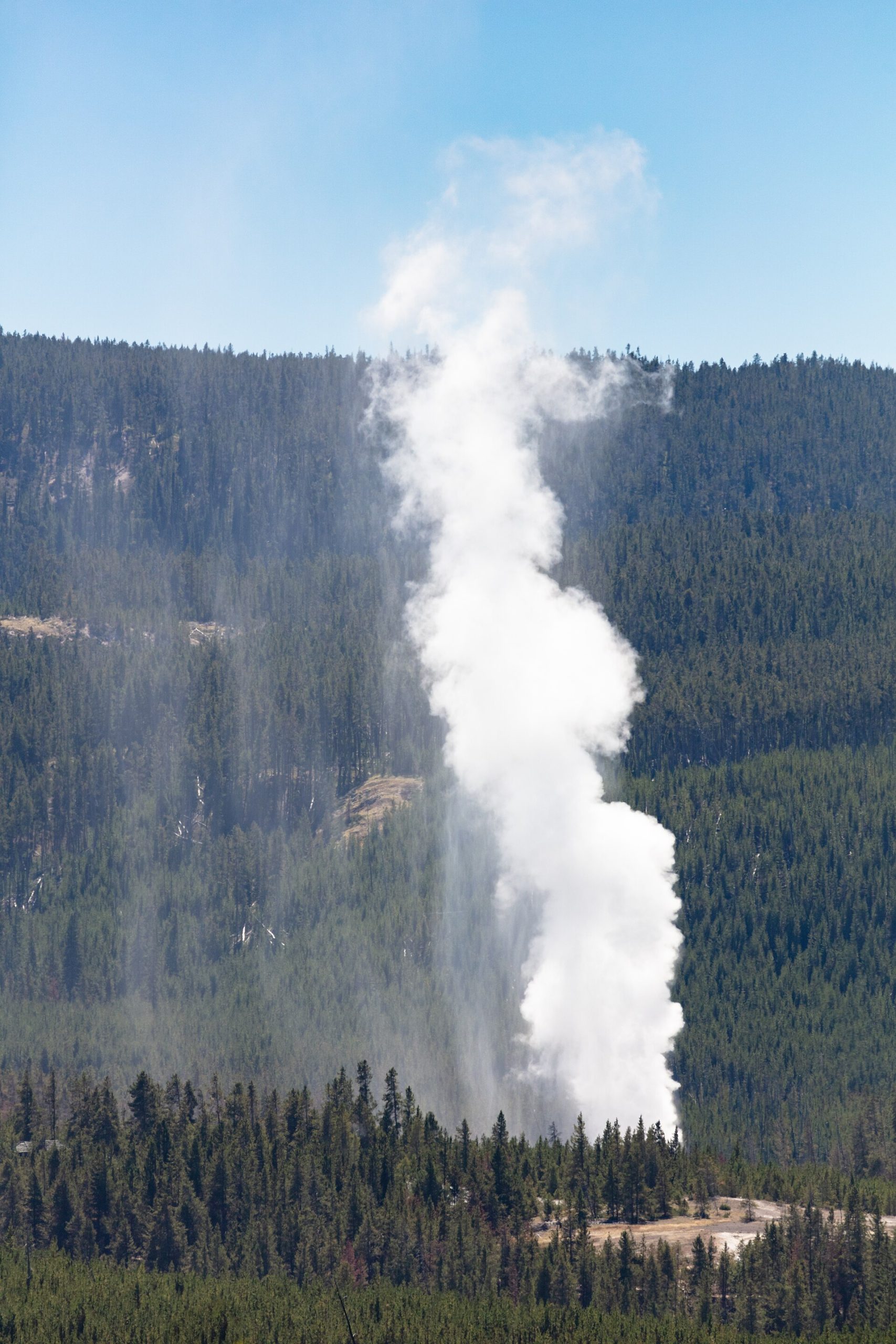 Steamboat Geyser steam phase viewed from the Norris Geyser Basin Overlook (portrait) (48678873702)